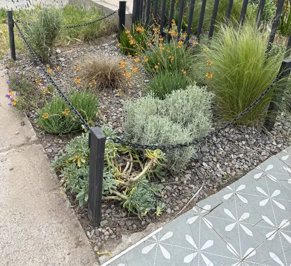 Antejardín mantenido con lavandas, pastos ornamentales y flores naranjas sobre gravilla.