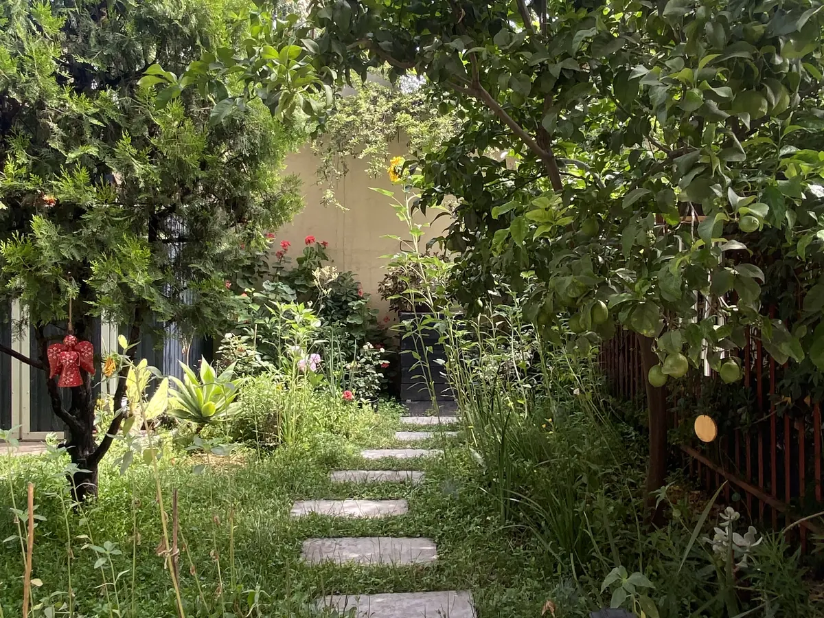 Proyecto Paisajismo Ñuñoa Uno: jardín frondoso con un sendero de pastelones entre árboles y arbustos.