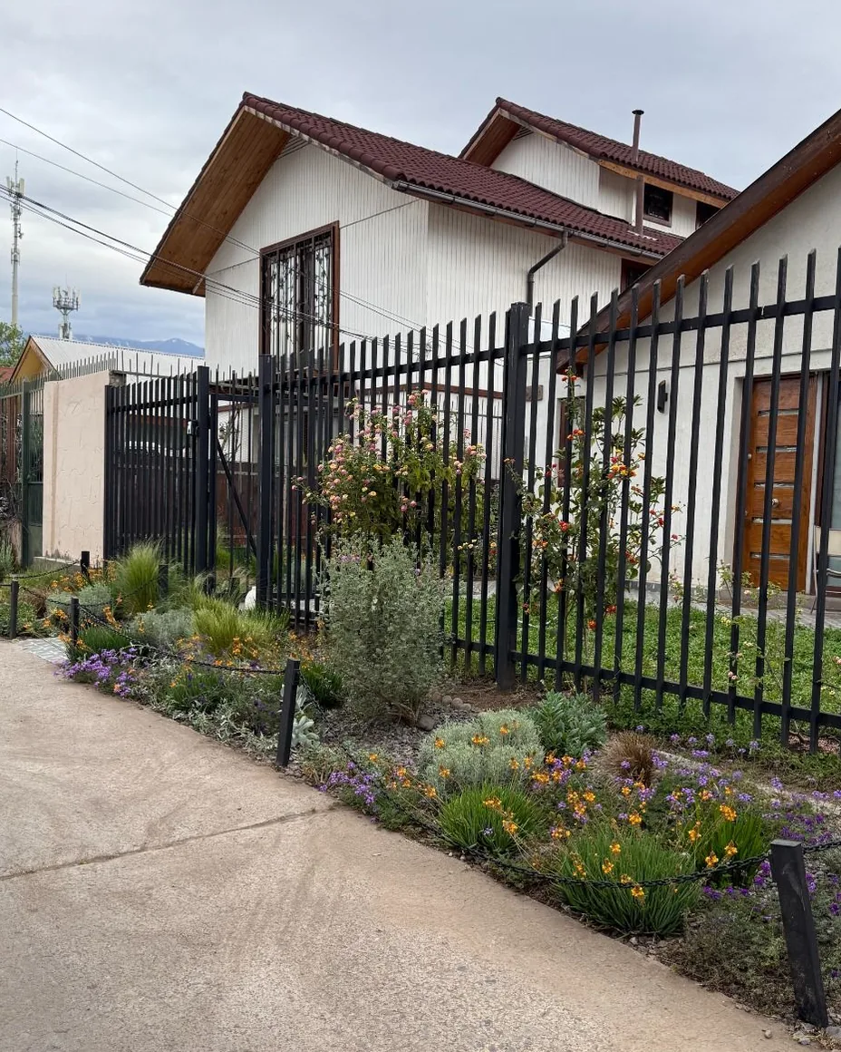 Antejardín de Paisajismo Uno Norte después: plantas nativas con flores moradas y amarillas, pastos y arbustos ordenados junto a la reja.